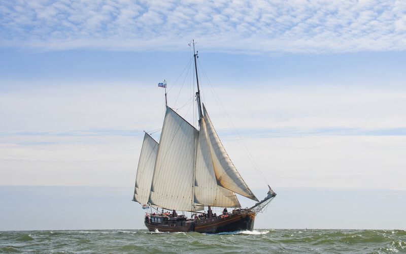 Ausflug mit der Schulklasse auf dem Wattenmeer